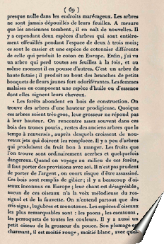 Page de la relation de Barthélemy Bruguière
