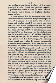 Page de la relation de Barthélemy Bruguière