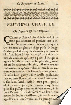 Page de la relation de Nicolas Gervaise