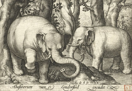 Éléphants