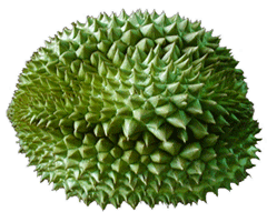 Durian