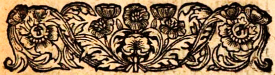 Frontispice du 1er livre de la relation du père Tachard